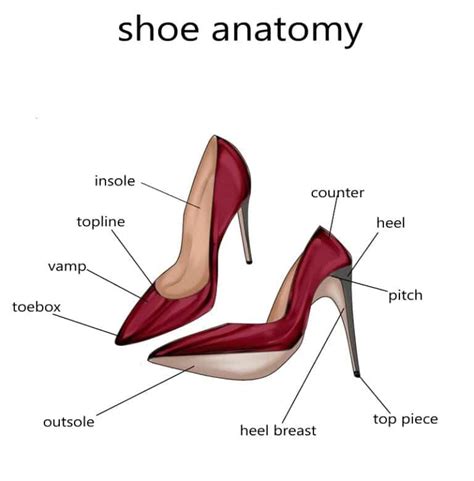 shoe anatomy  shoes   shoerazzi