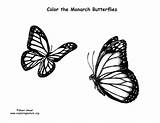 Monarch Coloring Butterfly Pages Butterflies Quality High Print Sponsors Wonderful Support Please sketch template