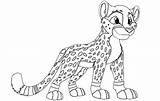 Cheetah Coloring Pages Running Drawing Step Getcolorings Getdrawings Print sketch template
