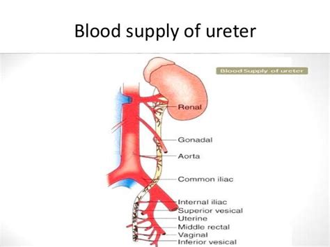 Ureteric Injury In Obgy