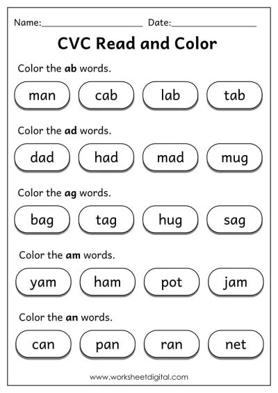 cvc words read  color worksheet digital