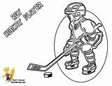 Nhl Coloring Pages Hockey Field Players Getdrawings Colorings Getcolorings Choose Board sketch template