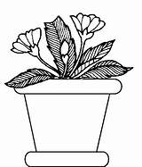 Coloring Plants Pages Plant Potted Title sketch template