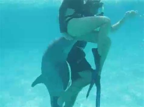 dolphin raeps girl sankaku complex