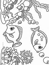 Coloring Clownfish Pages Popular Library Clown Fish Coloringhome sketch template
