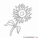 Sunflower Coloring Sheets Sheet Title sketch template