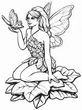 Fairy Coloring Pages Drawing Adults Garden Sketch Colour Butterfly Pencil Line Adult Fairies Fantasy Drawings Kids Sketches Printable Easy Moon sketch template