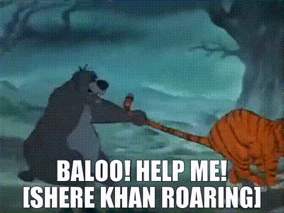 yarn baloo   shere khan roaring  jungle book  video gifs  quotes
