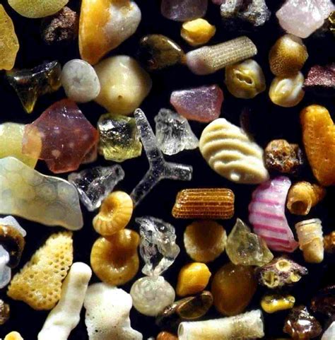sand  magnified    times