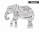 Olifant Kleurboek Elefante Stockillustratie Antistress sketch template
