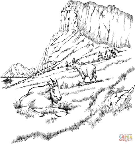 mountain goats coloring page supercoloringcom
