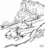 Coloring Pages Goats Landscape Mountain Goat Adults Adult Printable Mountains Rocky Realistic Scenery Two Landscapes Only Color Colouring Coloring4free Coupons sketch template