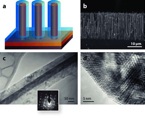 silicon nanowire solar cell structure  schematic cell design   scientific