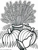 Coloring Pages Fall Harvest Printable Adult Autumn Adults Wheat Festival Thanksgiving Sheets Flowers Kids Cornucopia Drawing Color Colouring Scenes Leaves sketch template