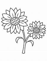Sunflower Coloring Pages Printable Flower Simple Flowers Template Museprintables Nature Print Kids Fall Choose Board sketch template