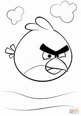 Angry Ptak Czerwony Drukuj sketch template
