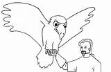 Wedge Eagle Tailed Coloring Drawing Cartoon Designlooter 1600 84kb Getdrawings sketch template