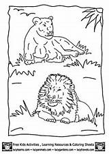 Coloring Lion Pages Printable Kids Safari Sheets Lucy Learns Preschool Head Afkomstig Van Crafts Lions Popular Africa sketch template