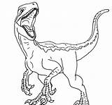 Jurassic Velociraptor Colorear Indoraptor Dinosaur Raptor Dinosaurios Dinosaurio Desenho Dinossauro Mosasaurus Colouring Ausmalen Libro Páginas Espinosaurio Coloringhome Indominus Buhos Spinosaurio sketch template