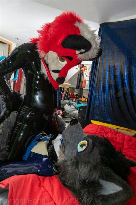 Elder Rubber Asylum On Twitter Rt Teasefox This Very Naughty Wolf