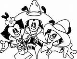 Animaniacs Wecoloringpage Xcolorings sketch template