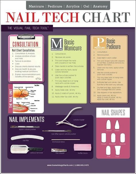 nail tech chart  sided laminated quick reference guide cosmetology charts business nails