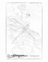 Coloring Jody Bergsma Pages Dragonfly sketch template