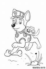 патруль раскраски раскраска щенячий Tut Raskraski источник Ru sketch template