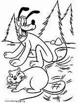 Pluto Disegni Beaver Topolino Biber Dibujos Micky Maus Ausmalbild Amigos Kostenlos Colorare Newsletter sketch template