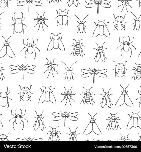 aggregate    pencil sketches  insects super hot ineteachers