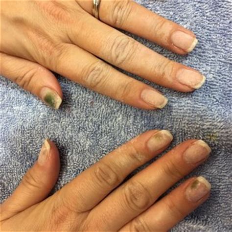 venus signature nails  spa    reviews nail salons
