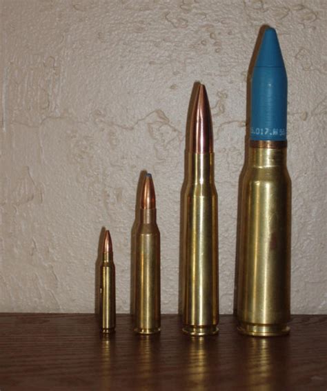 weapons  fbi  purchase  anzio mag fed mm rifle feral jundi
