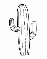 Kaktus Saguaro Getdrawings Wurzen Malvorlage Birijus Lobivia Lettering sketch template