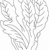 Lettuce Leaf Drawing Getdrawings Coloring sketch template