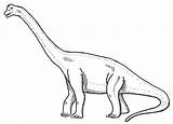 Brachiosaurus Dinosaurier Ausmalbilder Malvorlage Dinosaurus Dino Langhals Giraffe Dinos Vorlagen Jurassic sketch template