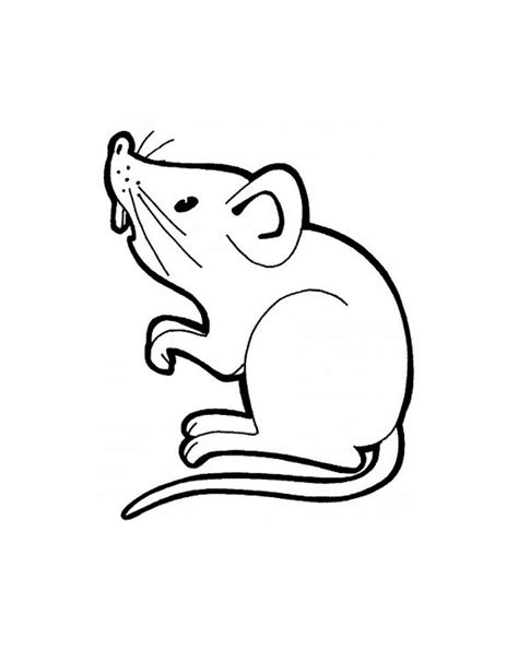 mouse coloring   mouse kids coloring pages