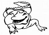 Alligator Coloringhome sketch template