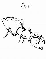 Coloring Pages Ant Ants Working Hard Cautious Being Food Insect Hungry Finding Kids sketch template