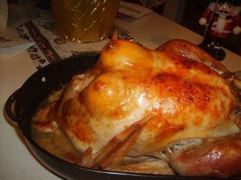 turkey breast thanksgiving food meal birds nipple funny pictures and best jokes