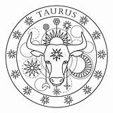 Taurus Lineart sketch template