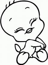 Tweety Baby Coloring Bird Pages Library Clipart Colouring sketch template