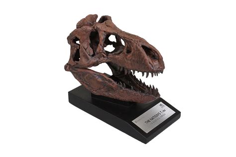 toynk toys announces upcoming release  smithsonian  rex fossil