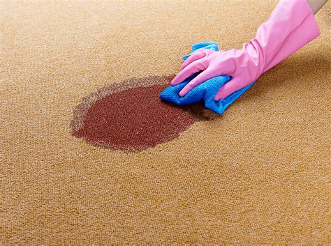 blood    carpet guide   clean carpet
