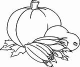Gourds Pumpkins sketch template