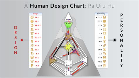 human design chart explained vseratours