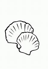 Coquillage Seashell Coloriage Colorier Coloriages sketch template