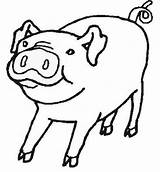 Pig Coloring Farm Pages Blank Clip Colouring Animals Animal Outline Pigs Kids Shapes Preschool Color Clipart Cut Drawings Cow Cliparts sketch template