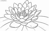 Lotus Flower Coloring Pages Colouring Drawing Getdrawings Getcolorings Outline Lily Color Printable Tattoo Choose Board Colorings sketch template
