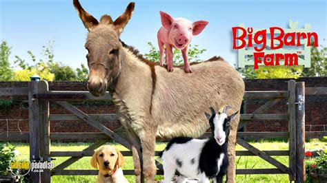 rent big barn farm series   tv series cinemaparadisocouk