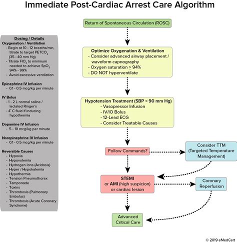 acls algorithm review  post cardiac arrest care algorithm